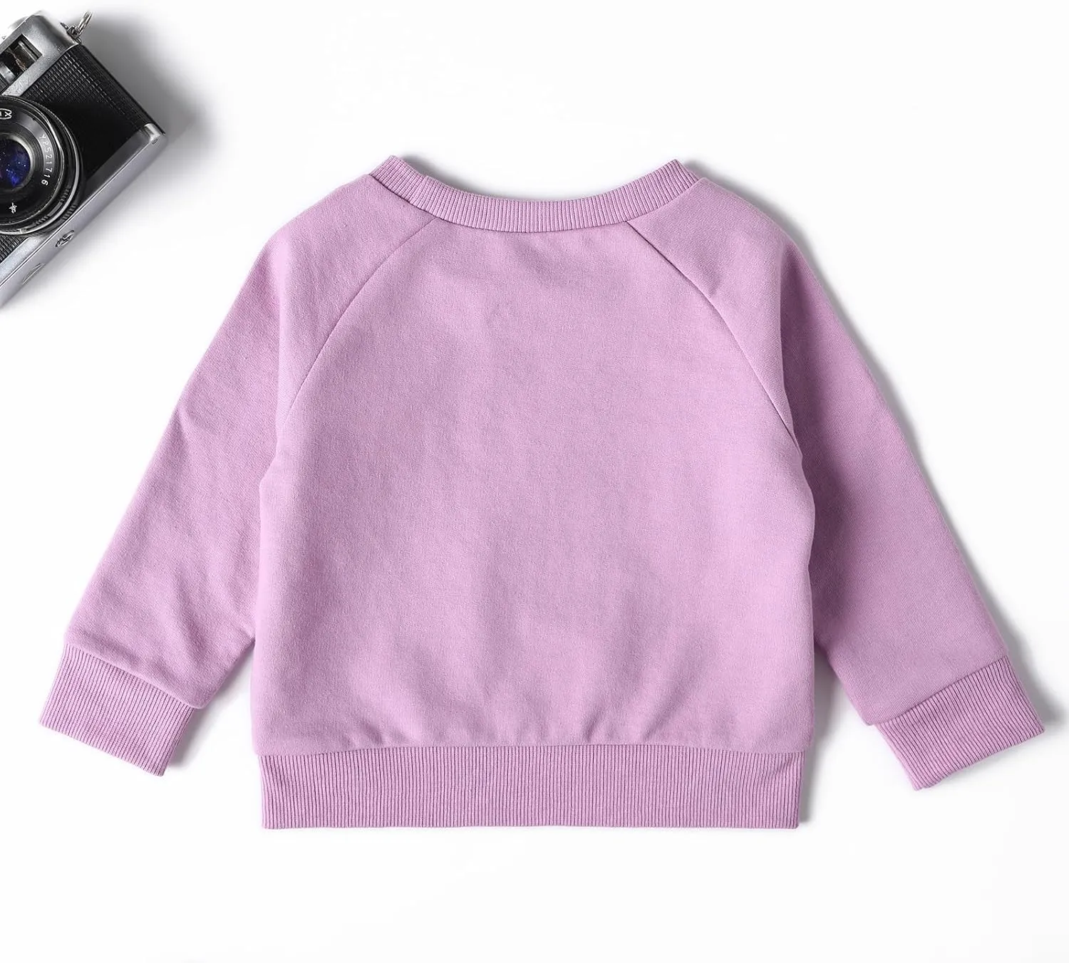 DEFAHN Toddler Baby Pullover Sweatshirt,Long Sleeve Infant Boy Girl Crewneck Active Tshirts 6 Month-3Y