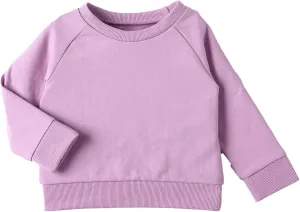 DEFAHN Toddler Baby Pullover Sweatshirt,Long Sleeve Infant Boy Girl Crewneck Active Tshirts 6 Month-3Y